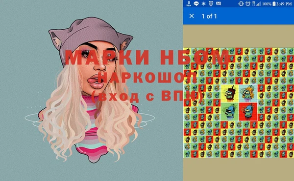 шишки Белокуриха