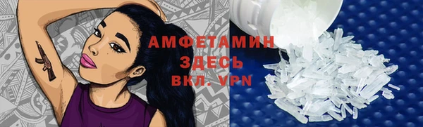 шишки Белокуриха