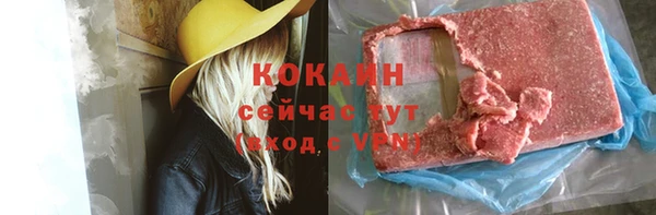 шишки Белокуриха