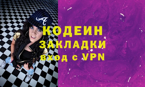 шишки Белокуриха