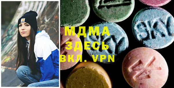шишки Белокуриха
