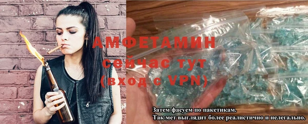 шишки Белокуриха