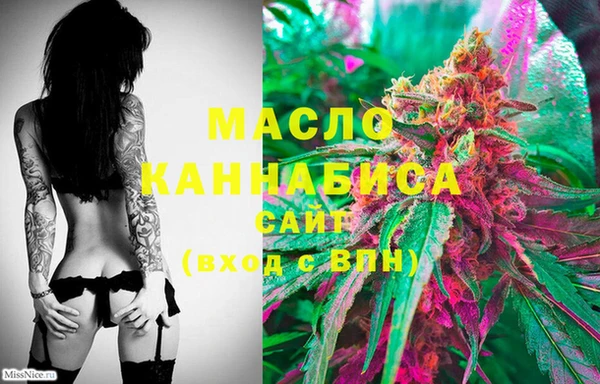 шишки Белокуриха
