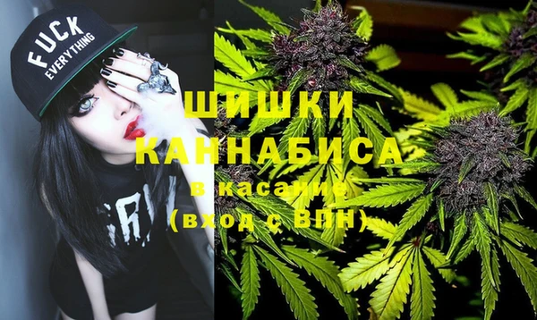 шишки Белокуриха