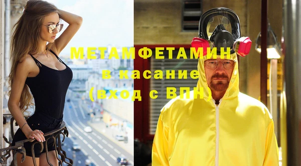 шишки Белокуриха