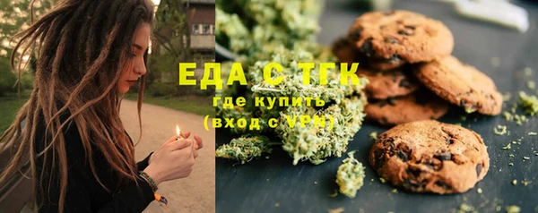 шишки Белокуриха