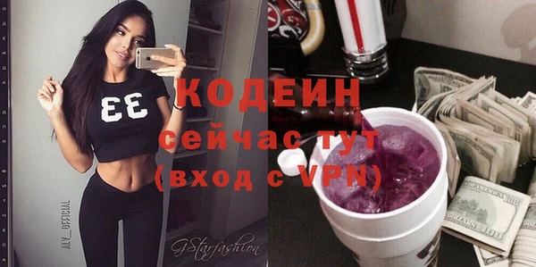 шишки Белокуриха